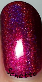 Les vernis Darling Diva - Drag Queen Collection