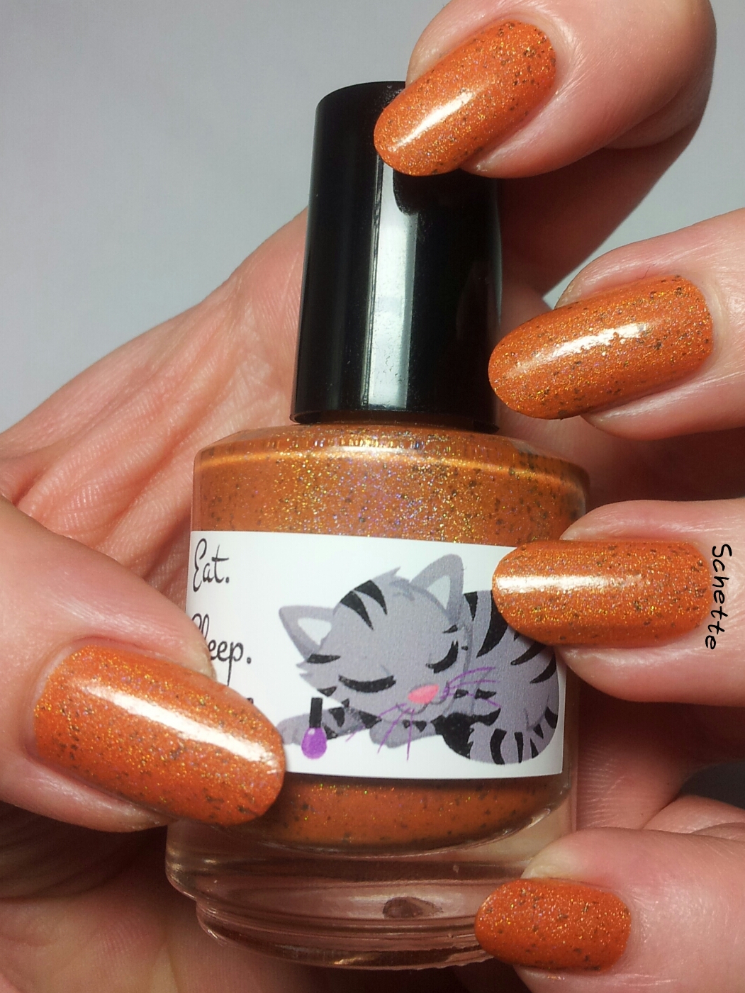 Le vernis Eat Sleep Polish Catbus