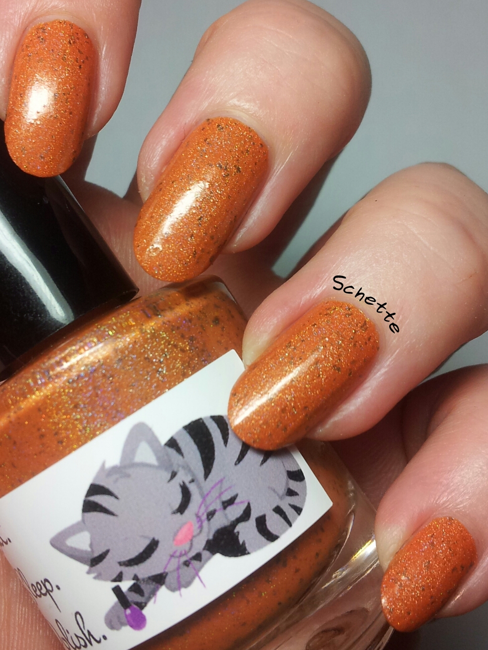 Le vernis Eat Sleep Polish Catbus