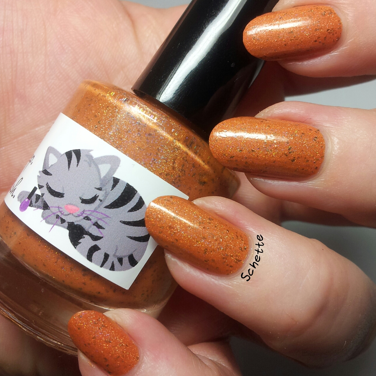Le vernis Eat Sleep Polish Catbus