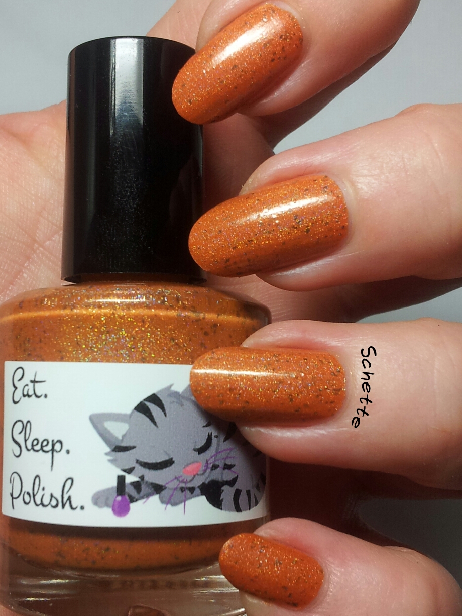 Le vernis Eat Sleep Polish Catbus