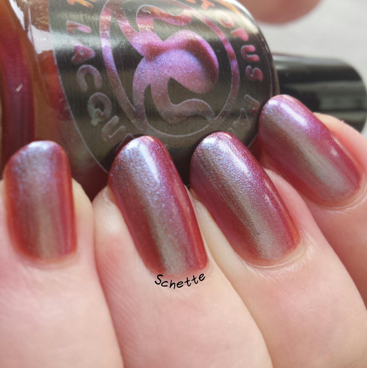 Les vernis Octopus Party Nail Polish Shore Fire, Turk Boys et Sizzler