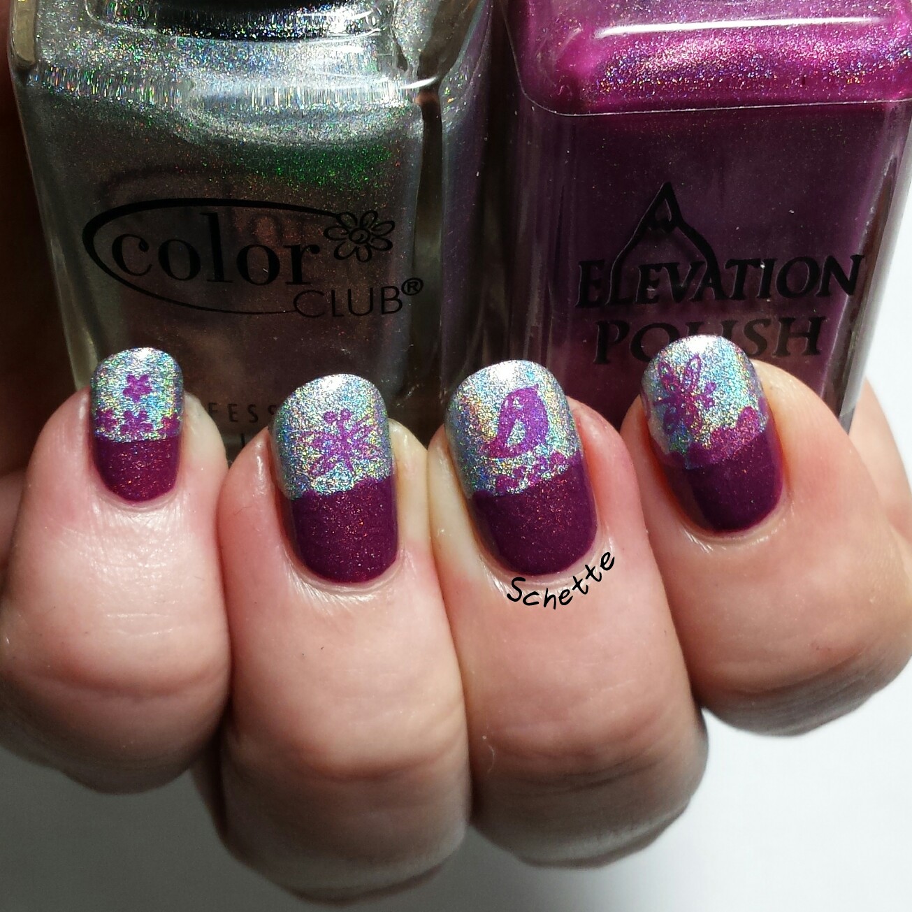 Stamping Master 4 : Bi-Color