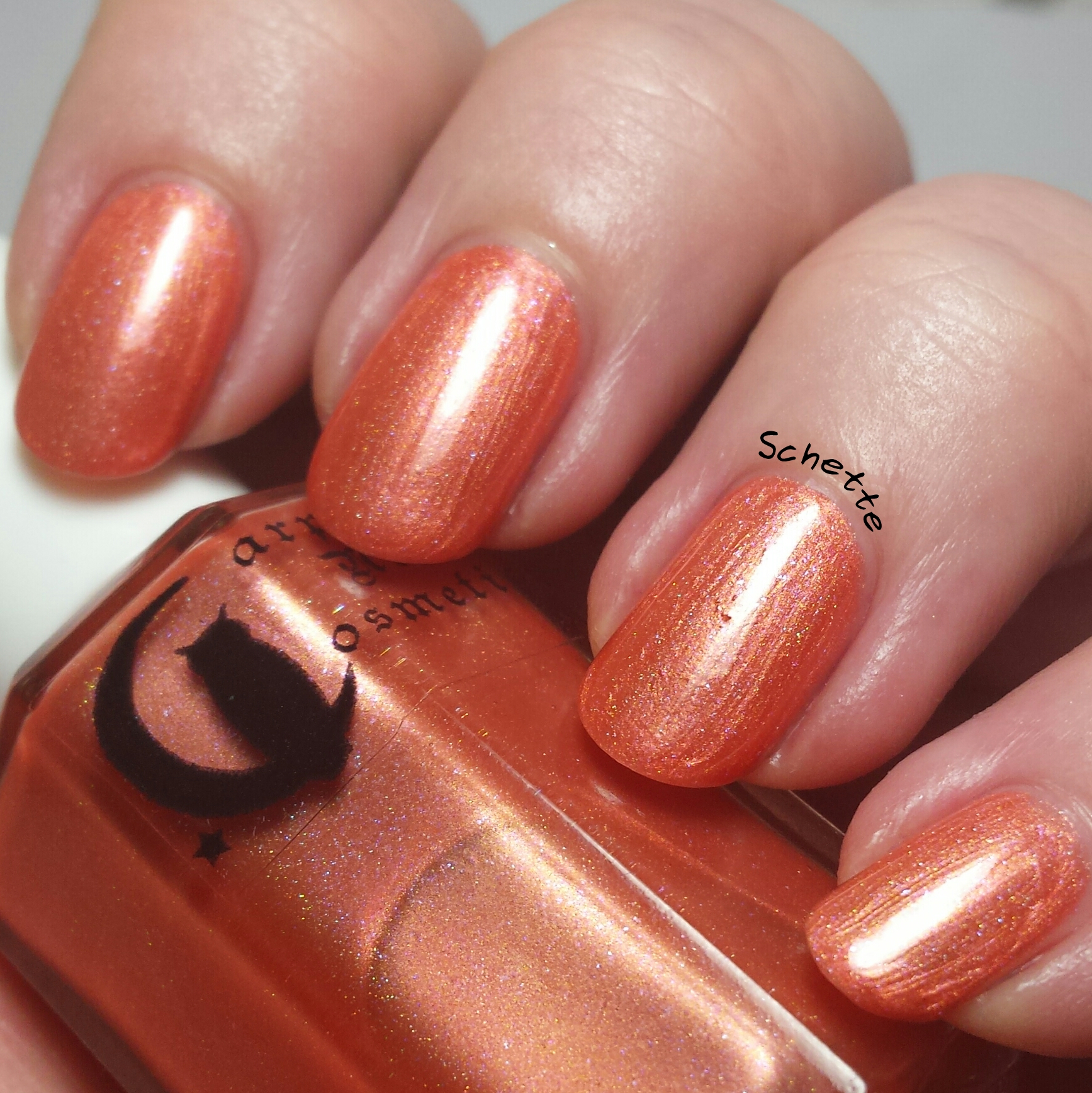 Carpe Noctem Cosmetics & Octopus Party Nail Lacquer - Adoption Duo