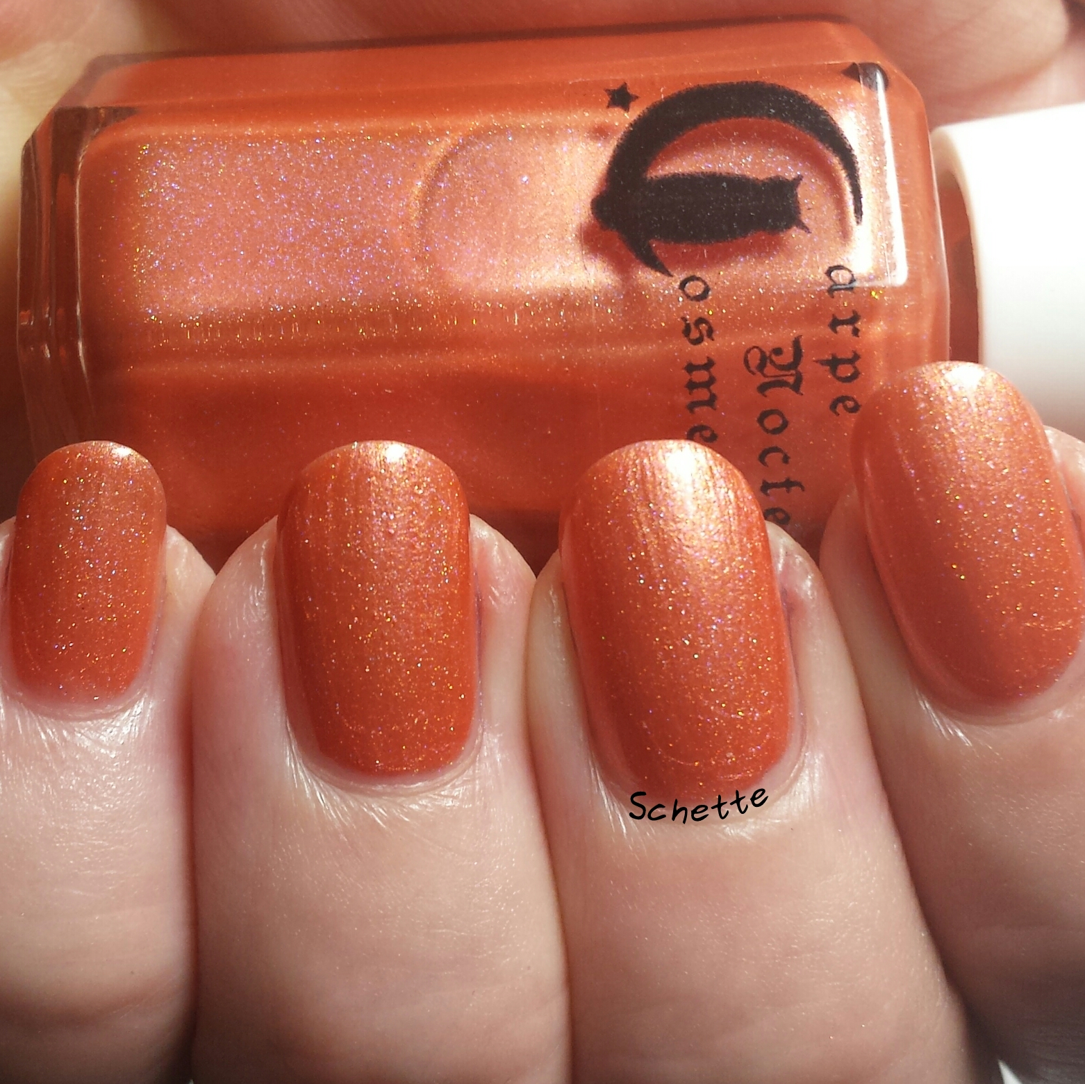 Carpe Noctem Cosmetics & Octopus Party Nail Lacquer - Adoption Duo
