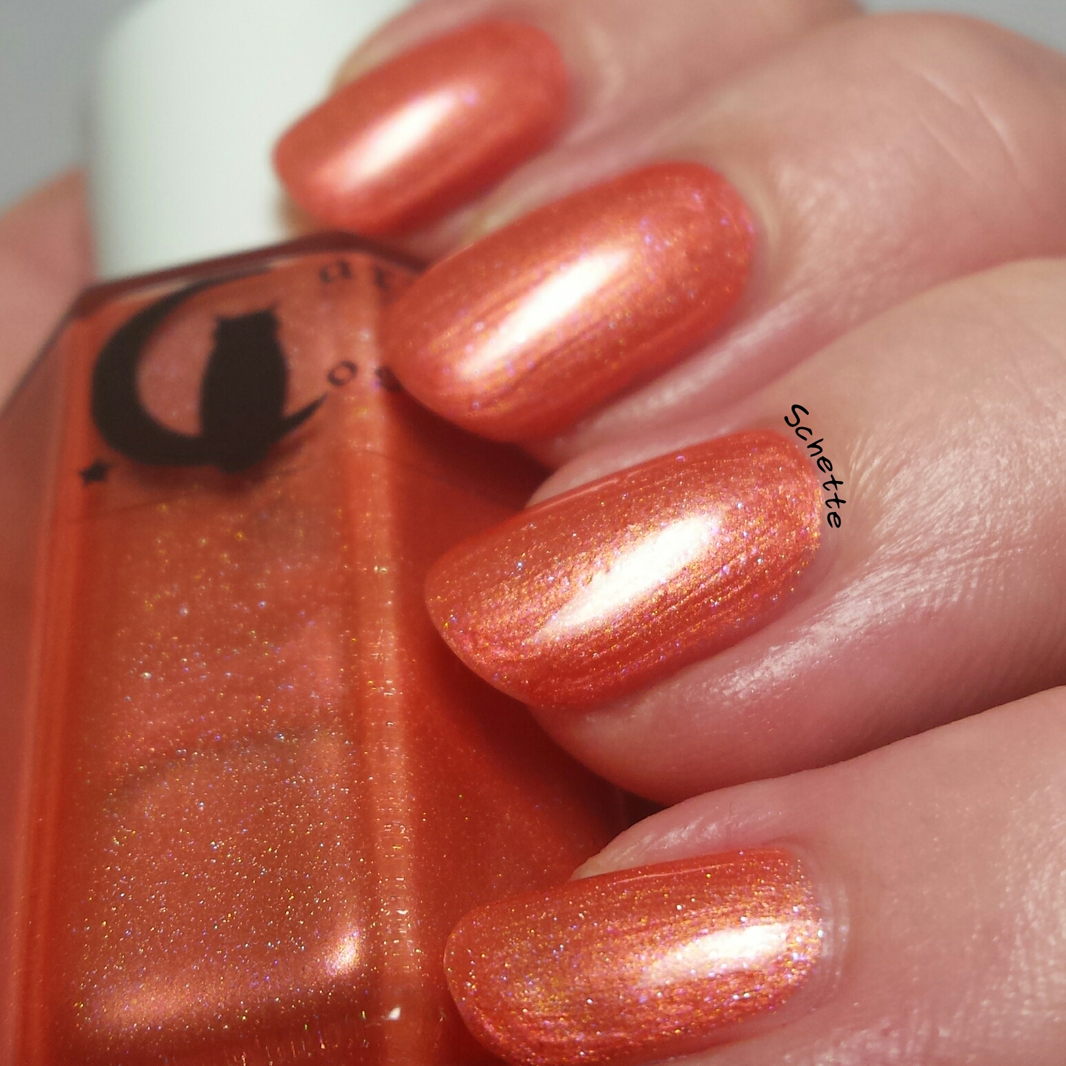 Carpe Noctem Cosmetics & Octopus Party Nail Lacquer - Adoption Duo