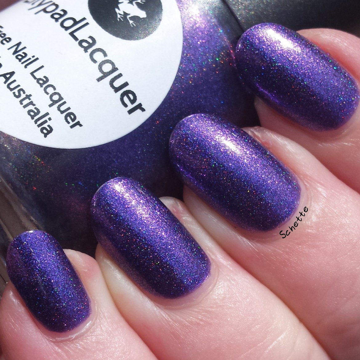 Lilypad Lacquer - Morning Glory