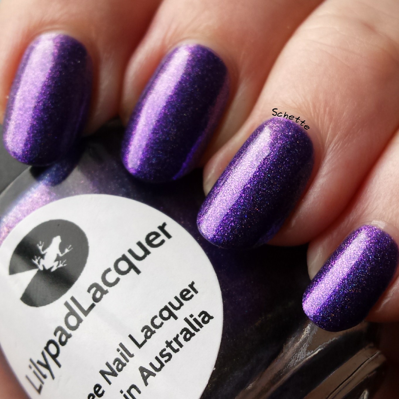 Lilypad Lacquer - Morning Glory