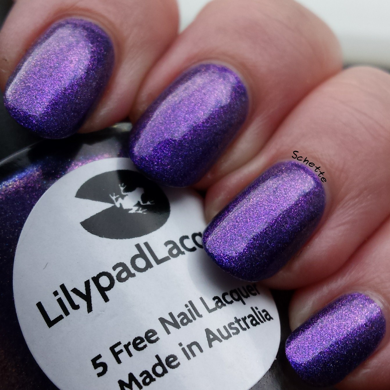 Lilypad Lacquer - Morning Glory