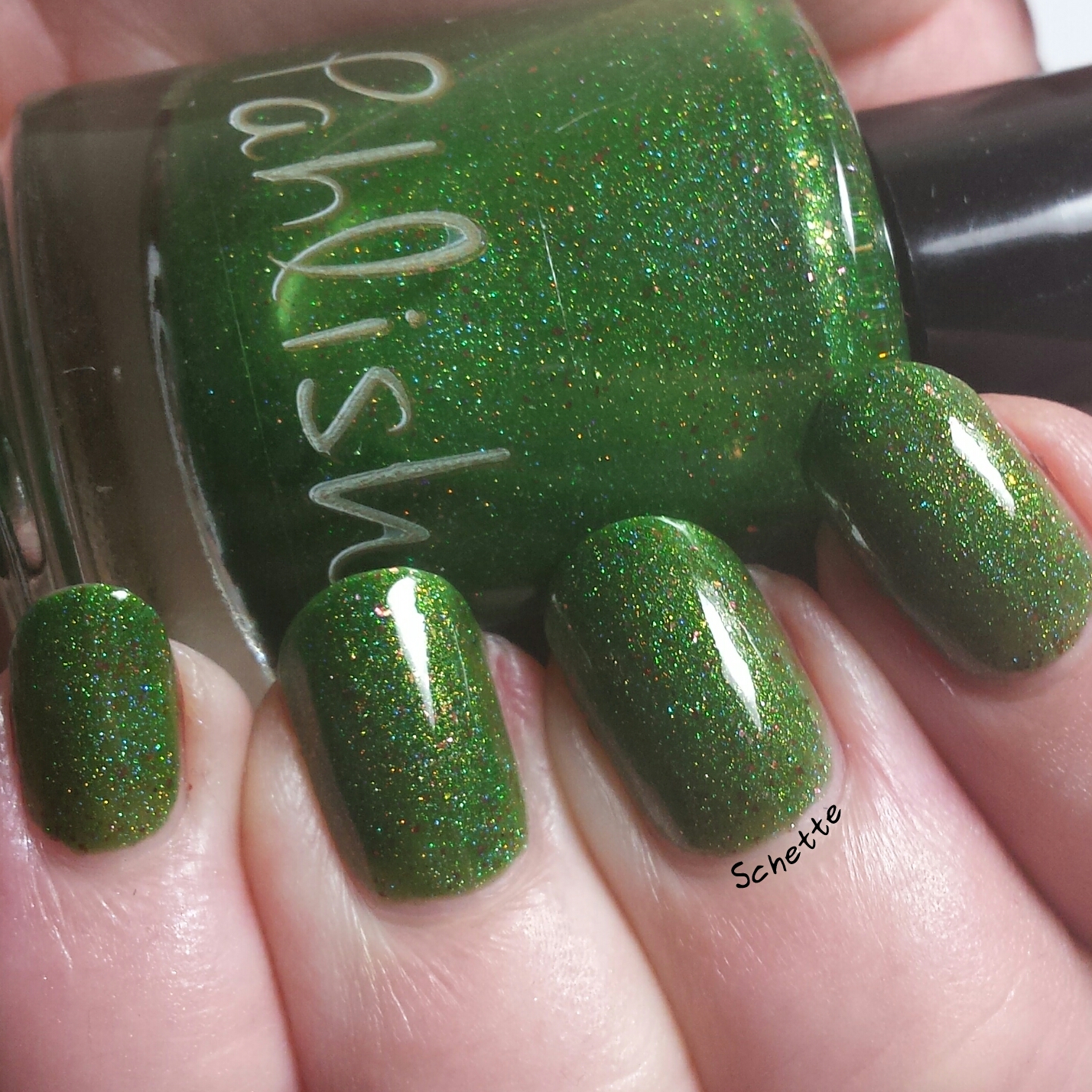 Pahlish - Moon like a spotlight, Blood of the Mountain, Kalanchoe Luciae