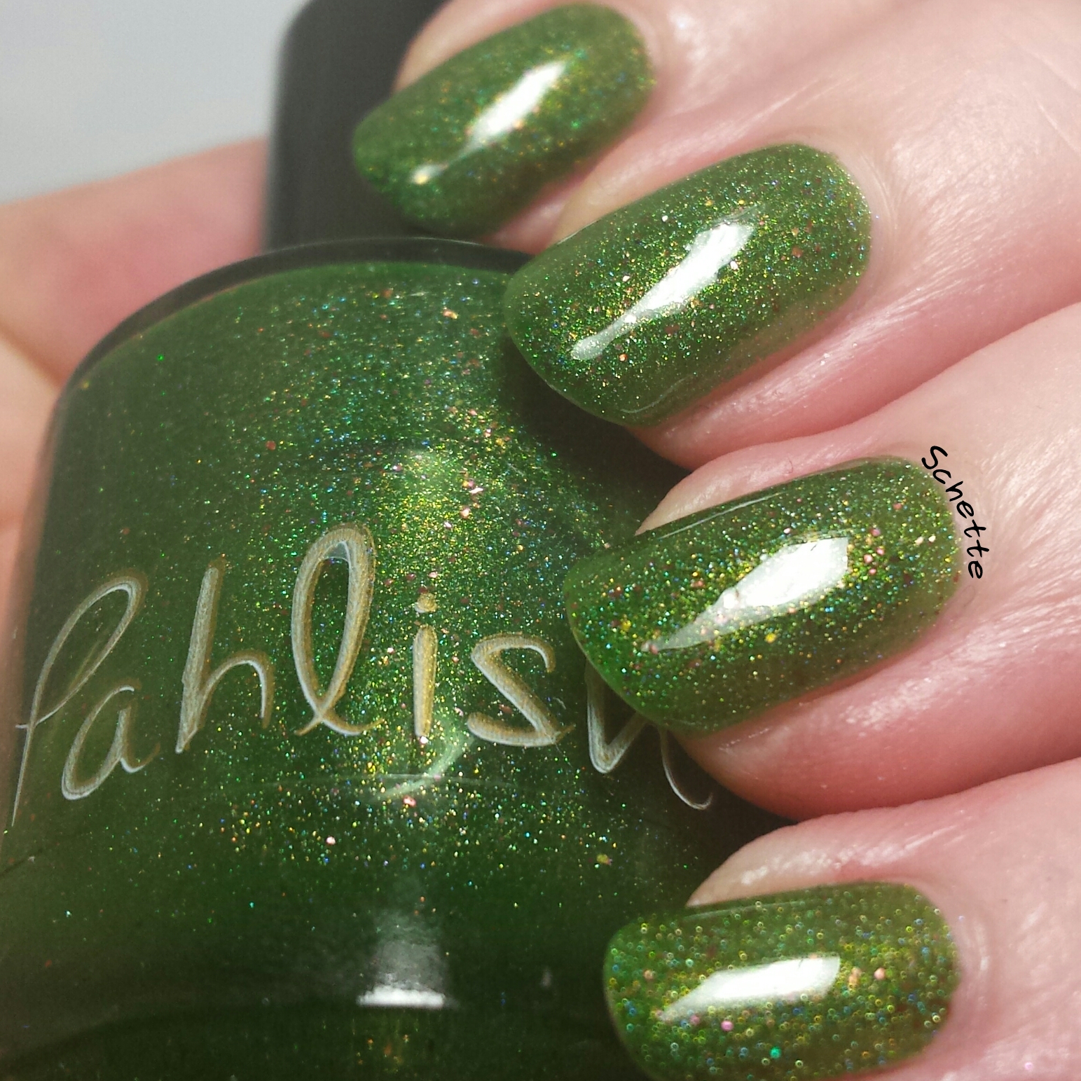 Pahlish - Moon like a spotlight, Blood of the Mountain, Kalanchoe Luciae