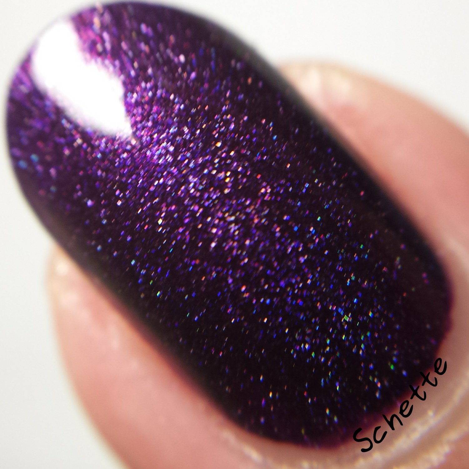 Eat Sleep Polish : Purplefield
