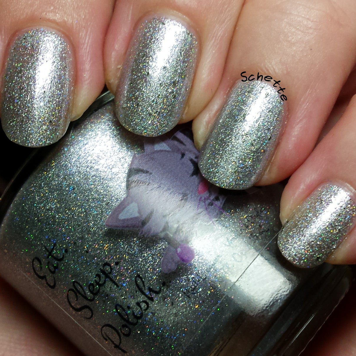 Eat Sleep Polish : Silver Shoes with pointed toes