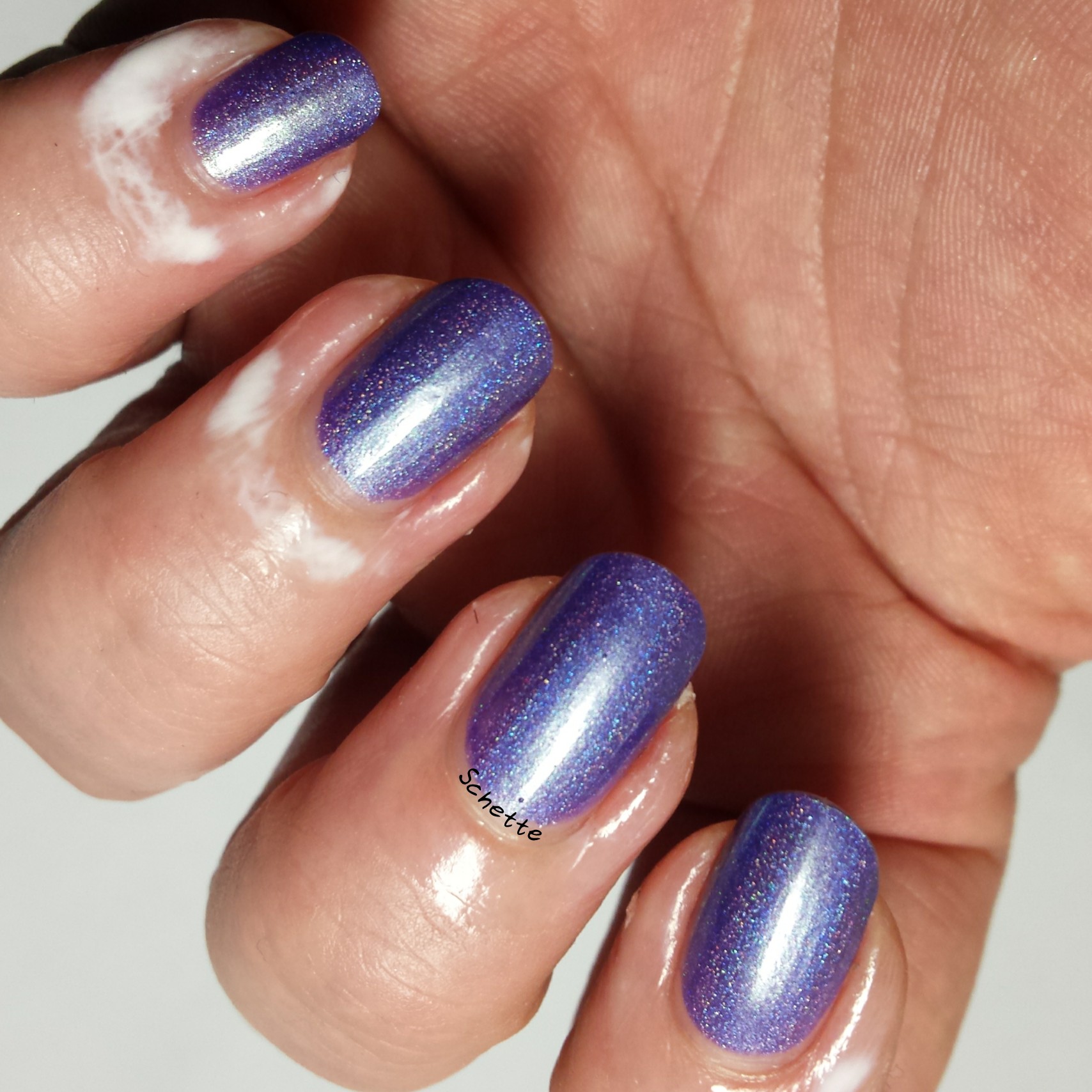 Eat Sleep Polish - Sticky Paws