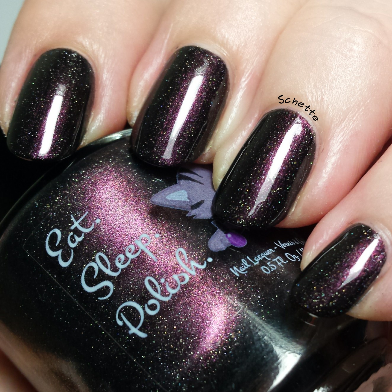 Eat Sleep Polish : The Winged Monkeys