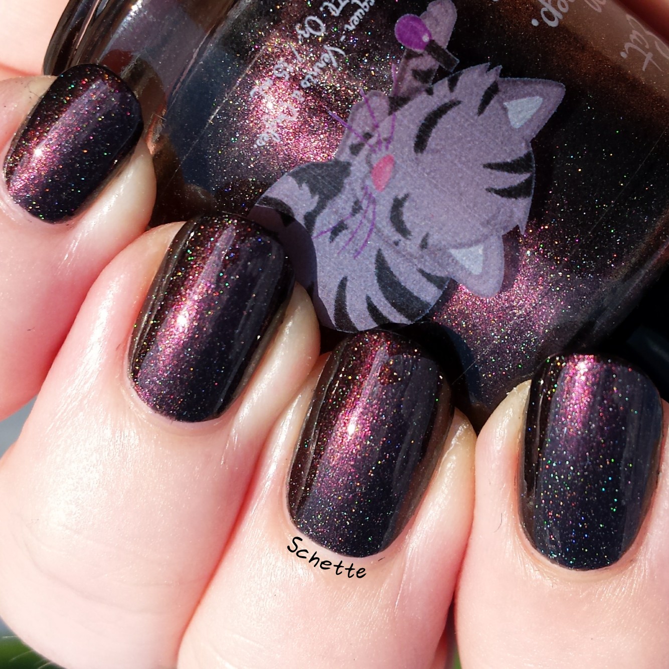 Eat Sleep Polish : The Winged Monkeys