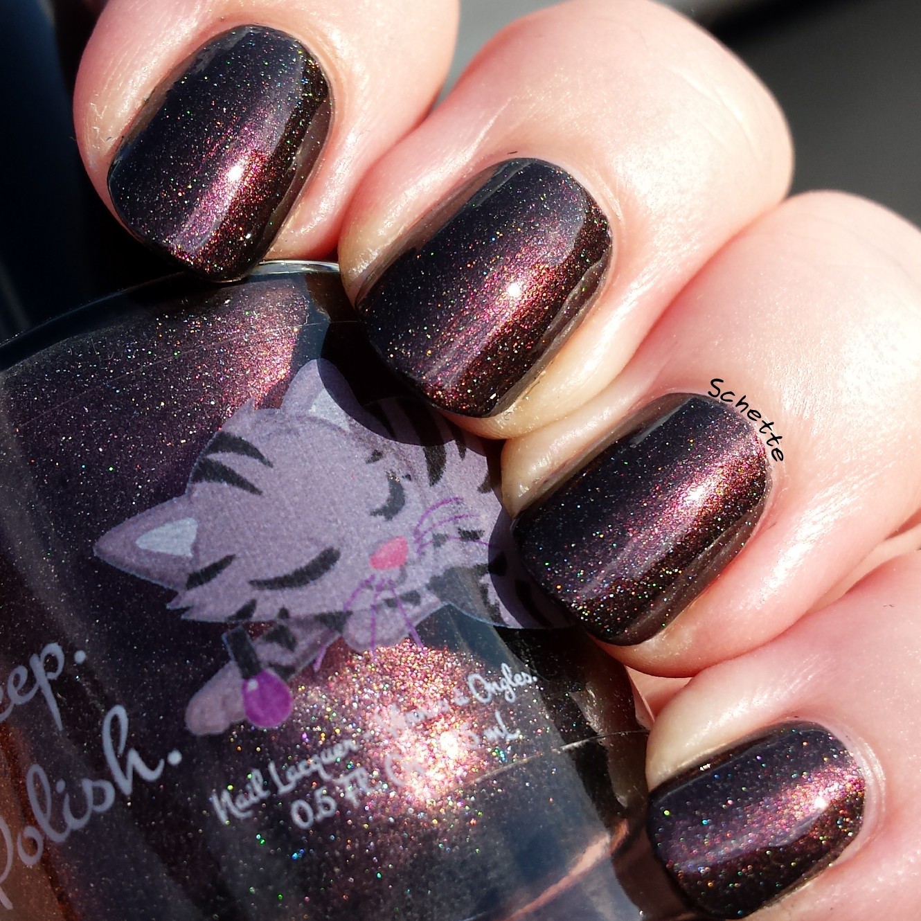 Eat Sleep Polish : The Winged Monkeys