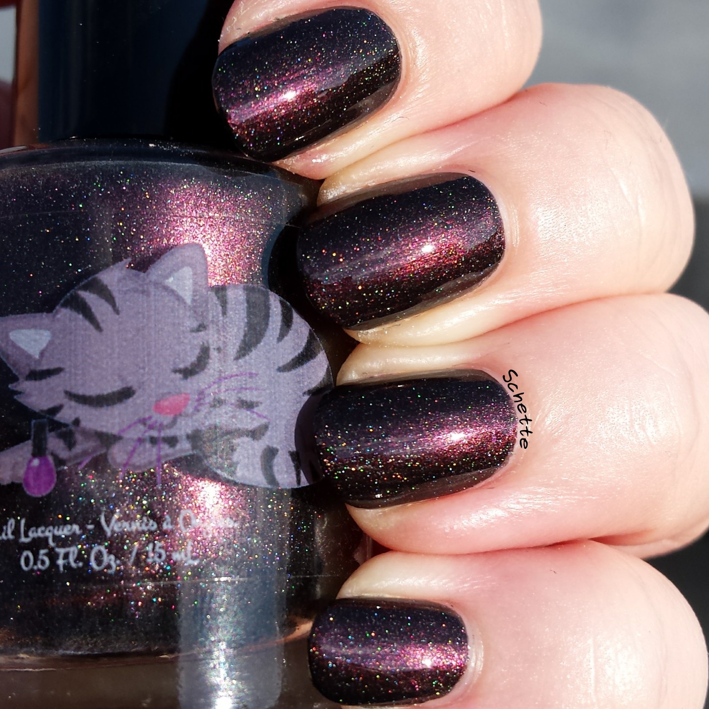 Eat Sleep Polish : The Winged Monkeys