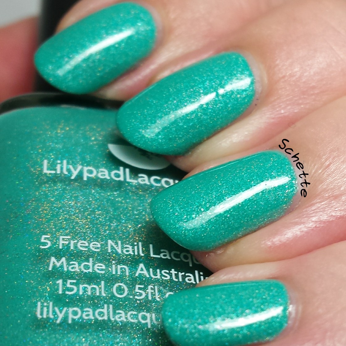 Lilypad Lacquer : Mango Buzz, Berry Blast, Bubblegum fizz, Tarty tangerine 