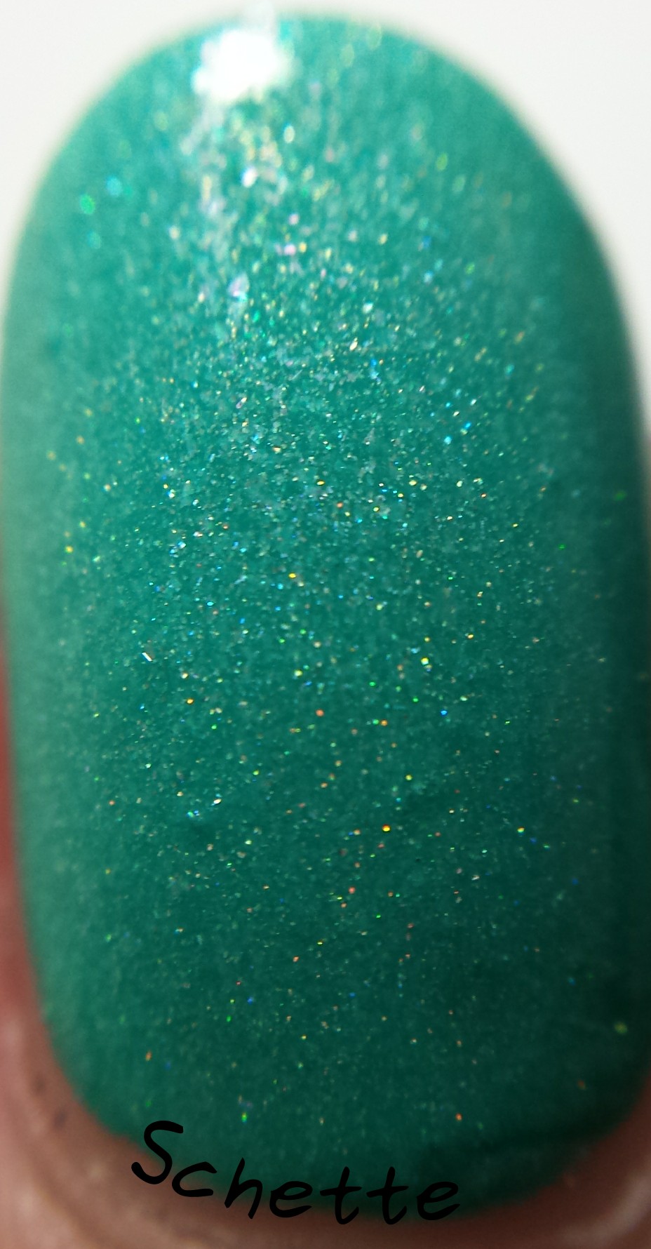 Lilypad Lacquer : Mango Buzz, Berry Blast, Bubblegum fizz, Tarty tangerine 