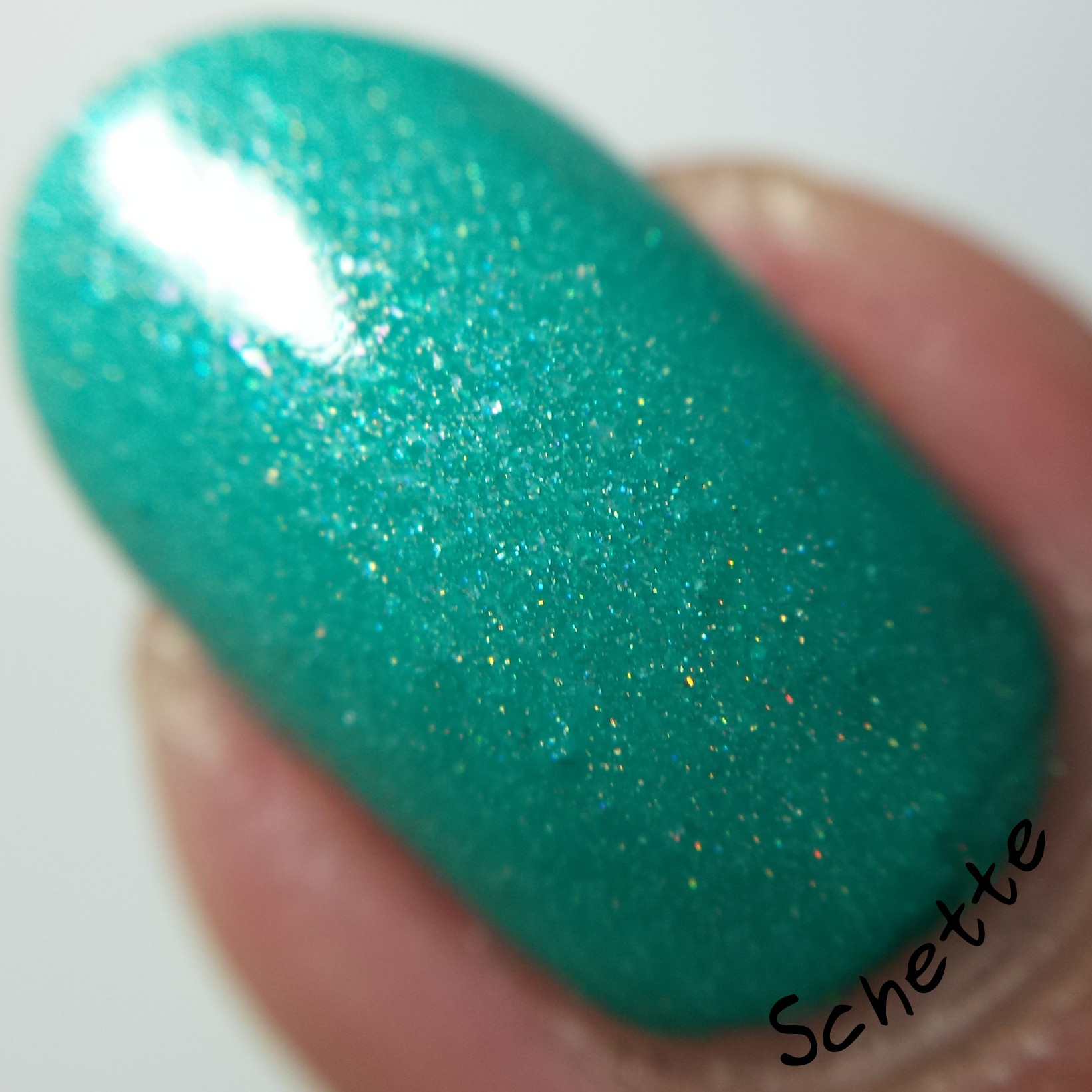 Lilypad Lacquer : Mango Buzz, Berry Blast, Bubblegum fizz, Tarty tangerine 