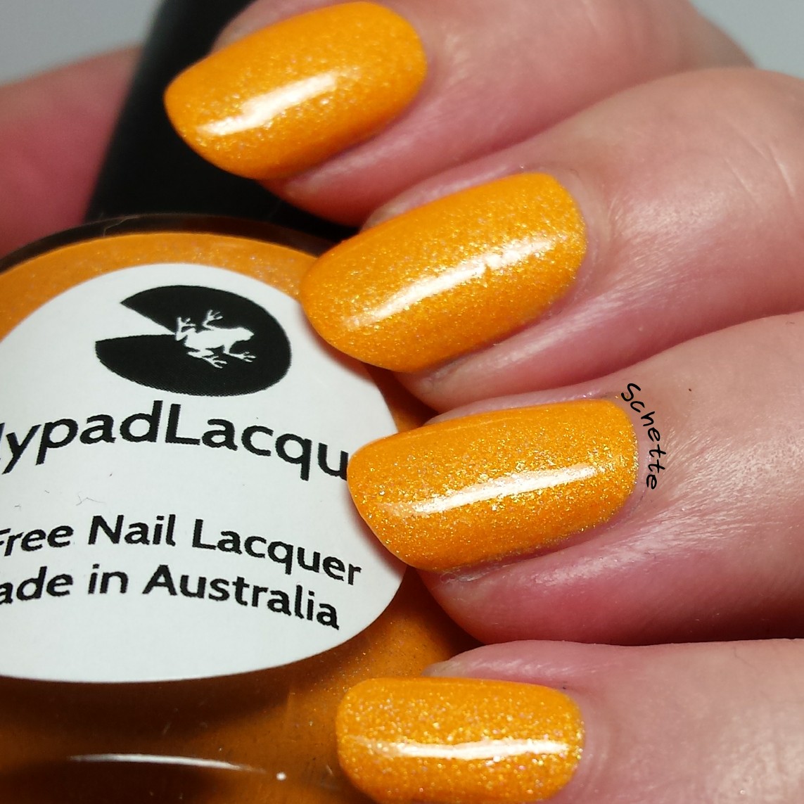 Lilypad Lacquer : Mango Buzz, Berry Blast, Bubblegum fizz, Tarty tangerine 