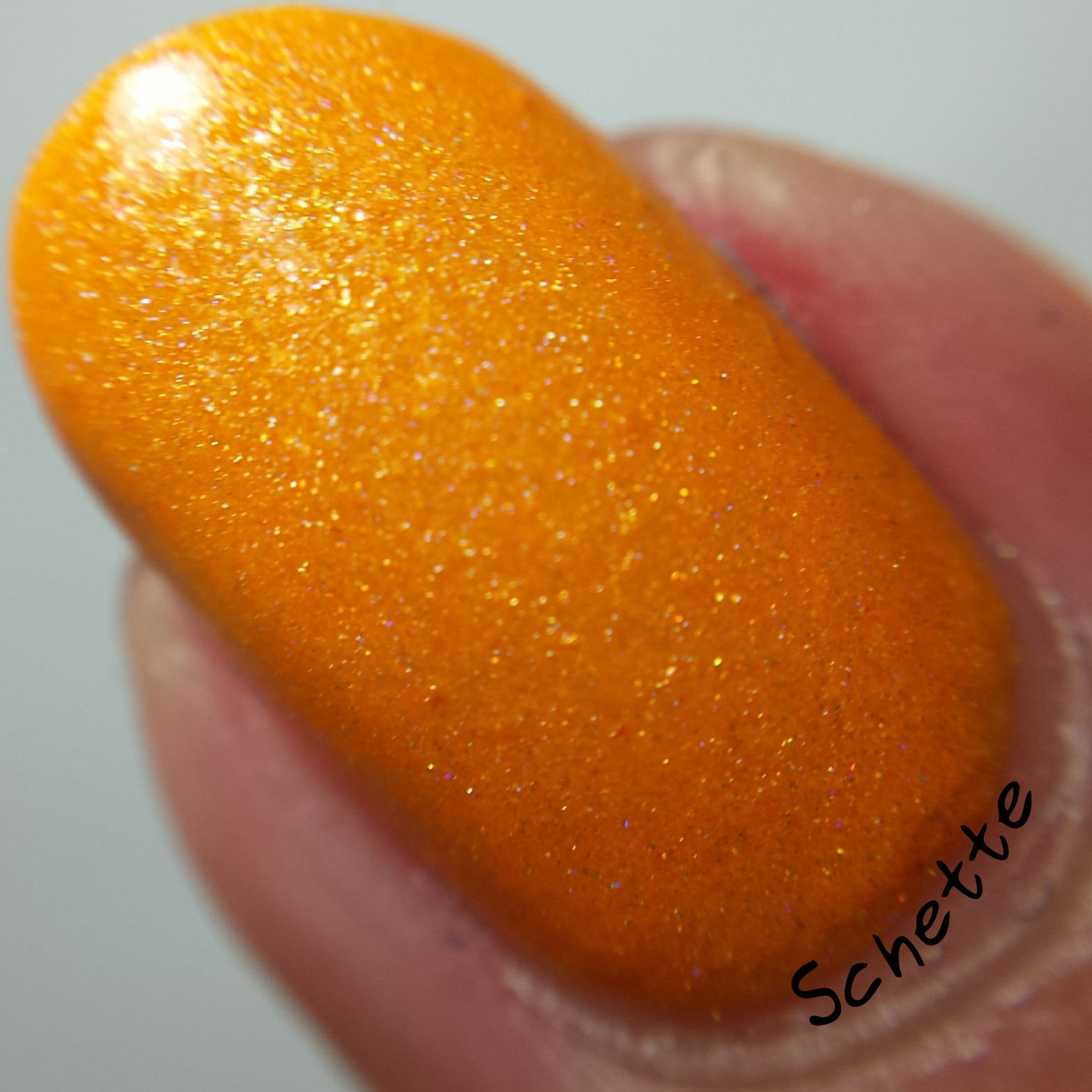 Lilypad Lacquer : Mango Buzz, Berry Blast, Bubblegum fizz, Tarty tangerine 