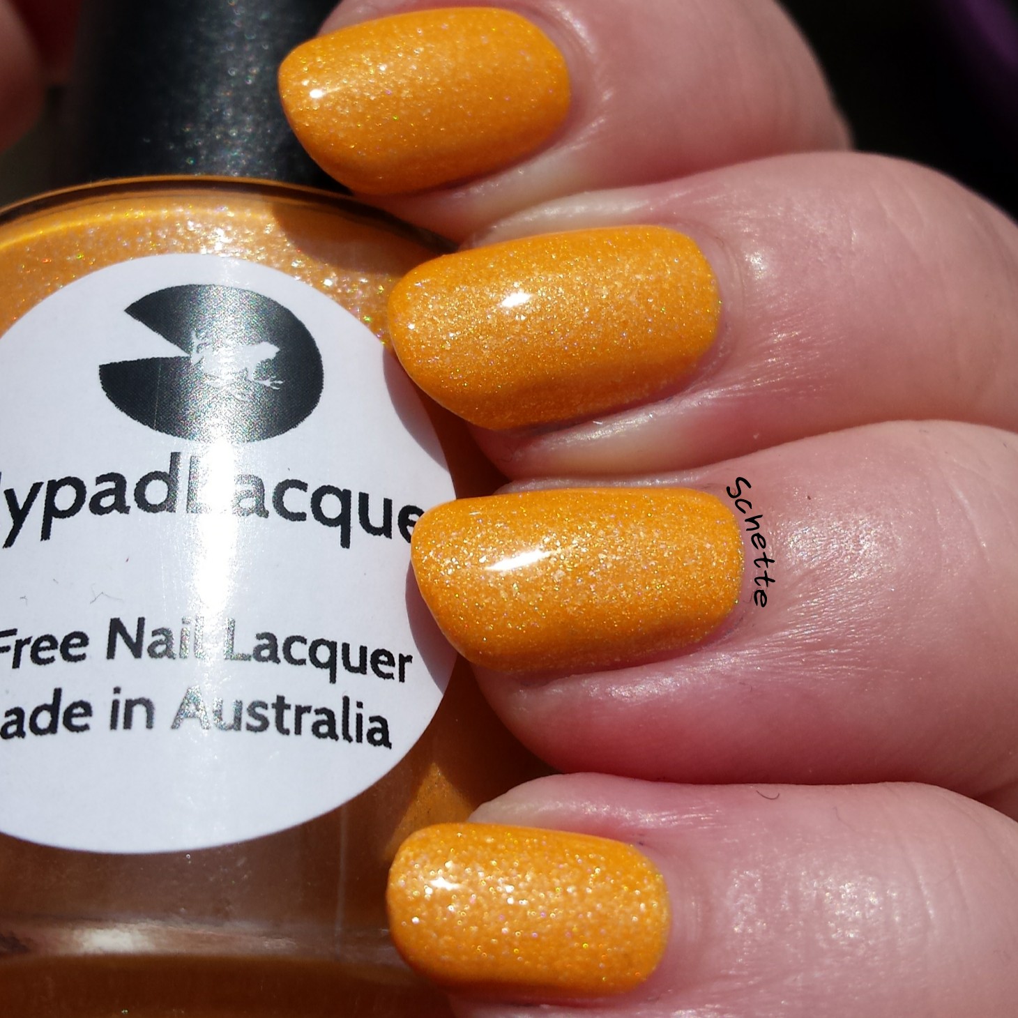 Lilypad Lacquer : Mango Buzz, Berry Blast, Bubblegum fizz, Tarty tangerine 