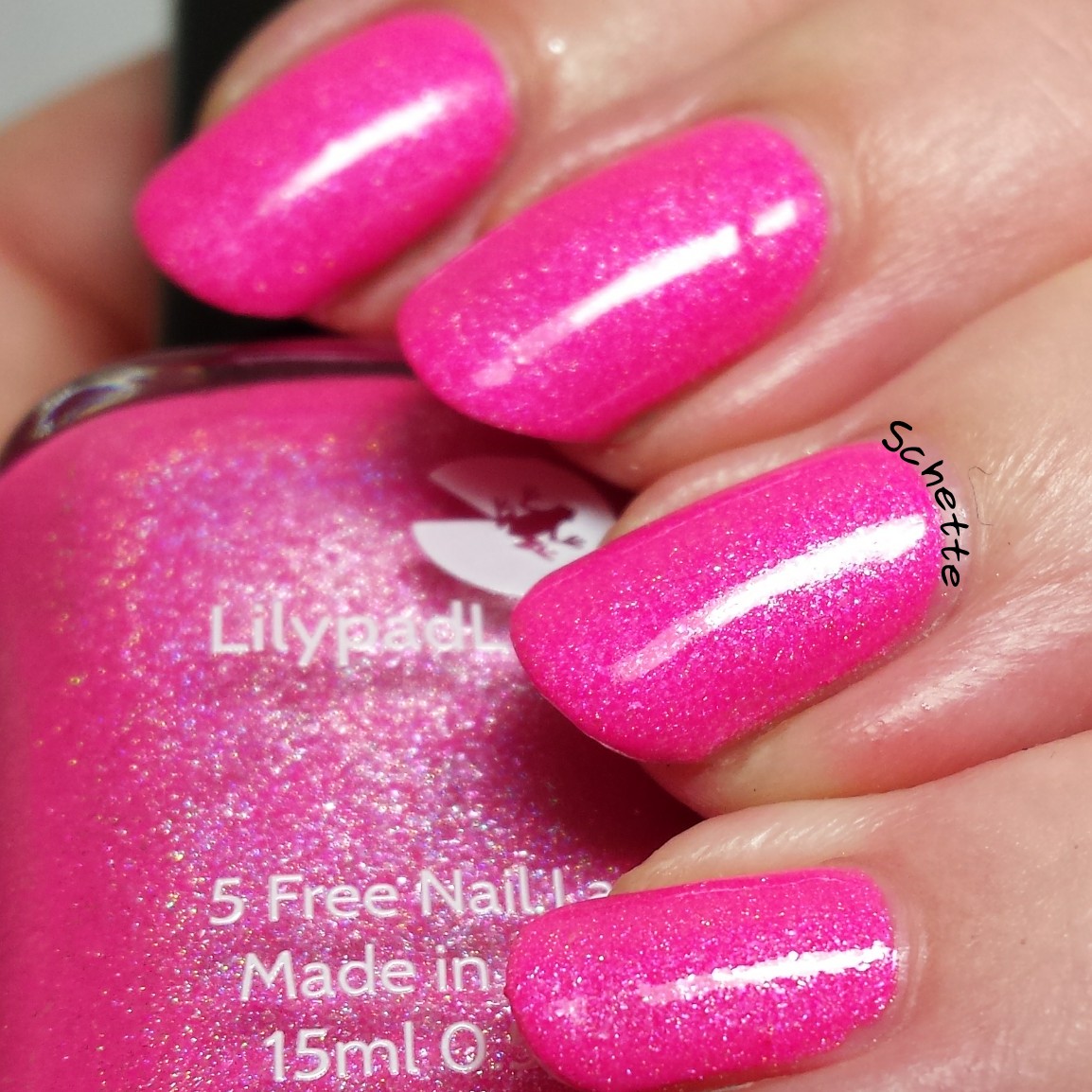 Lilypad Lacquer : Mango Buzz, Berry Blast, Bubblegum fizz, Tarty tangerine 