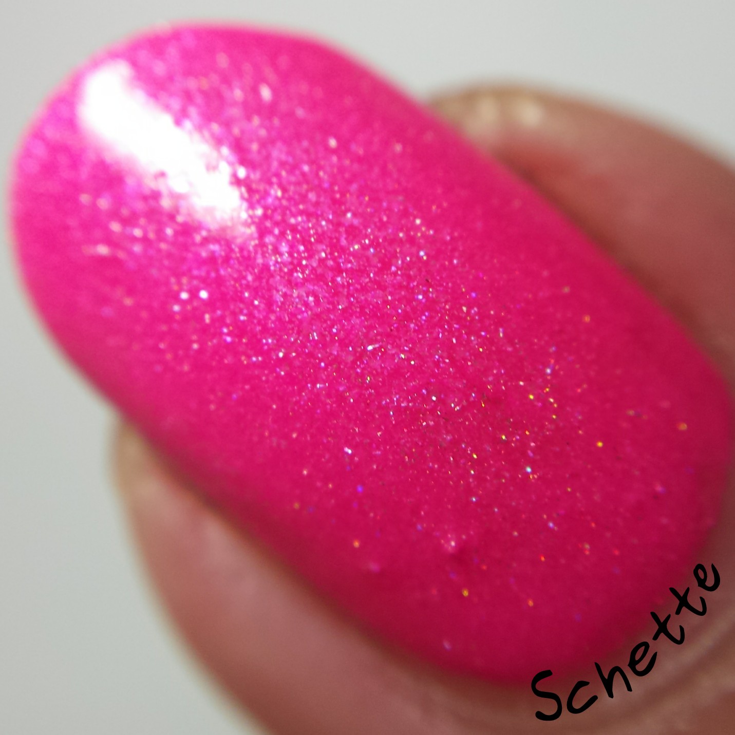 Lilypad Lacquer : Mango Buzz, Berry Blast, Bubblegum fizz, Tarty tangerine 