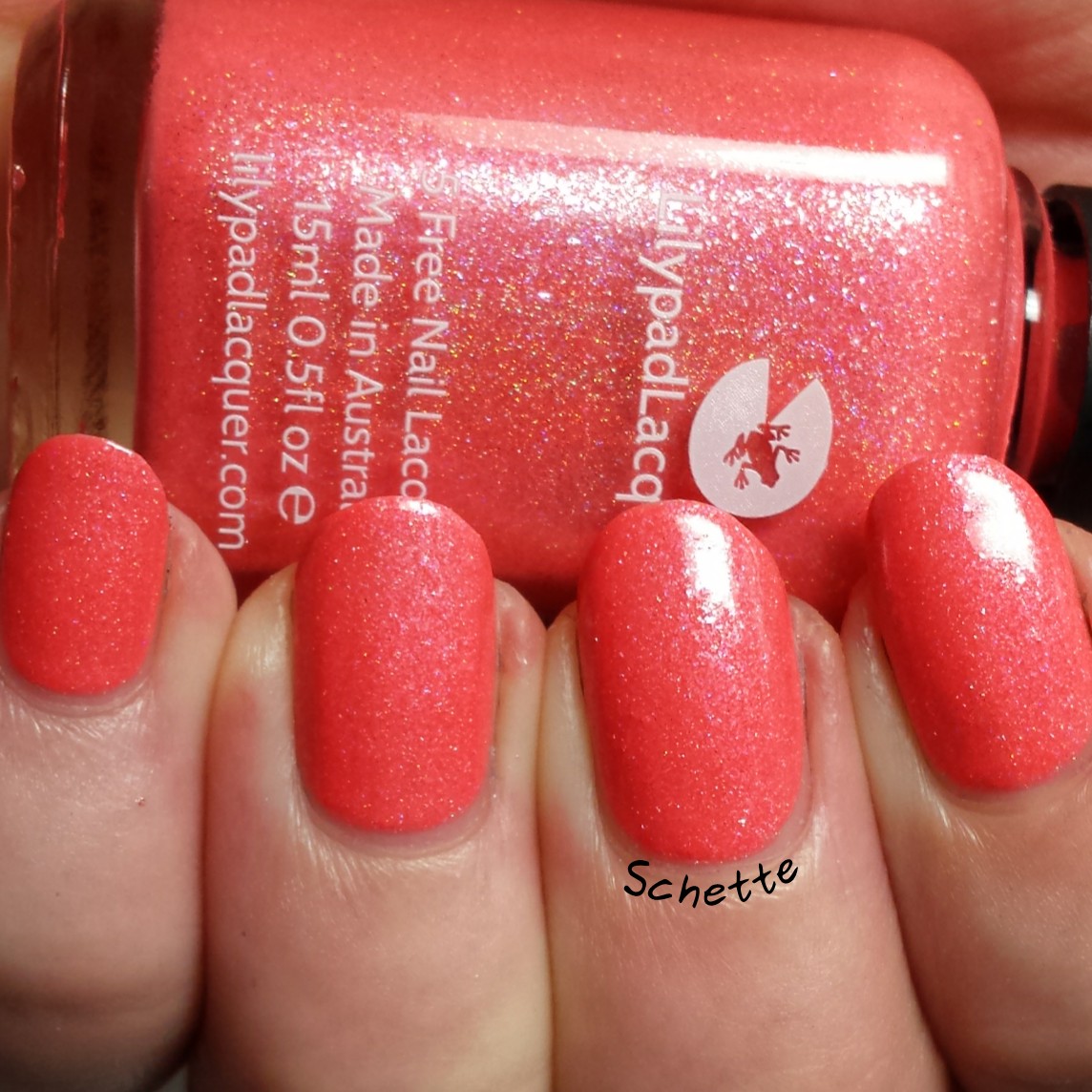 Lilypad Lacquer : Mango Buzz, Berry Blast, Bubblegum fizz, Tarty tangerine 