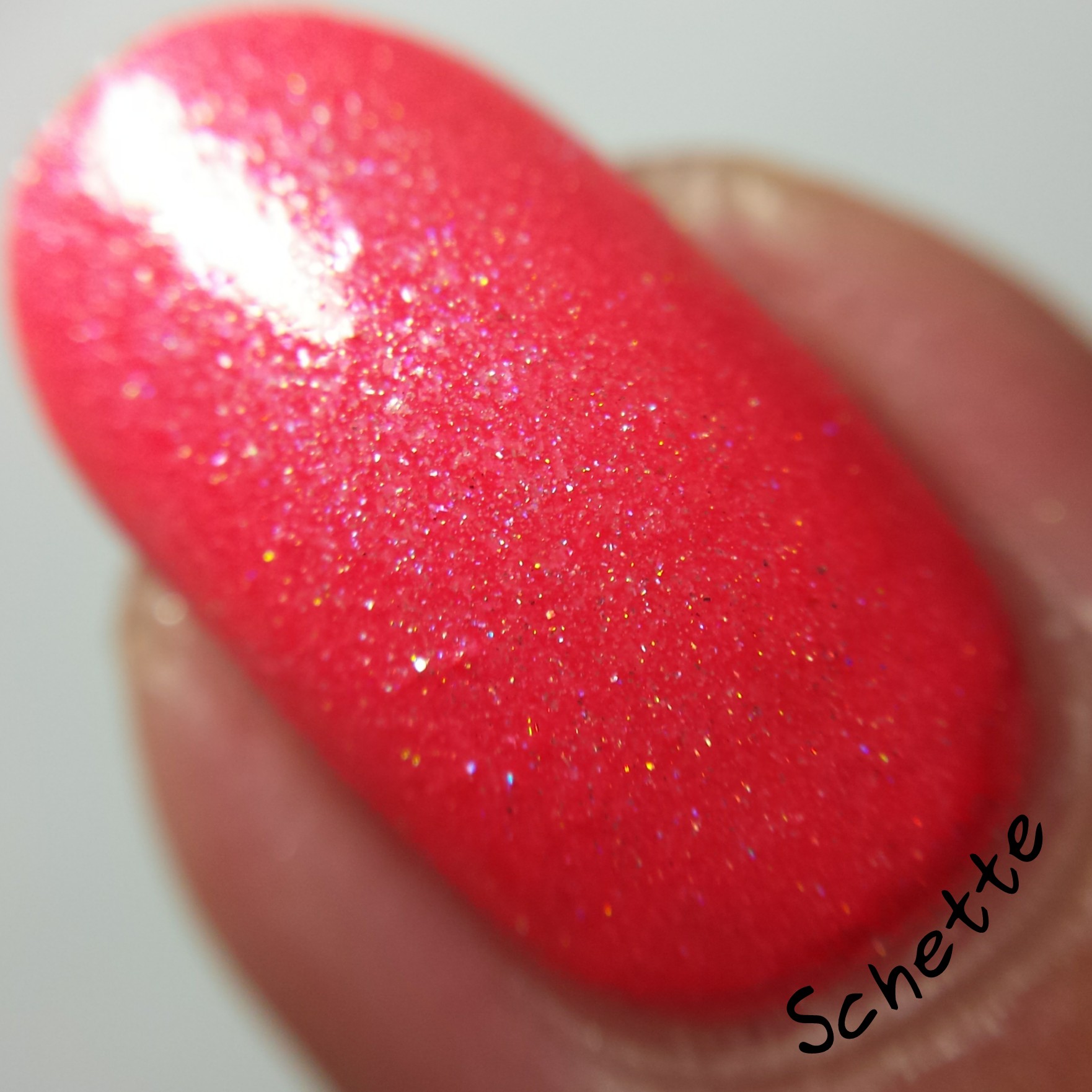 Lilypad Lacquer : Mango Buzz, Berry Blast, Bubblegum fizz, Tarty tangerine 