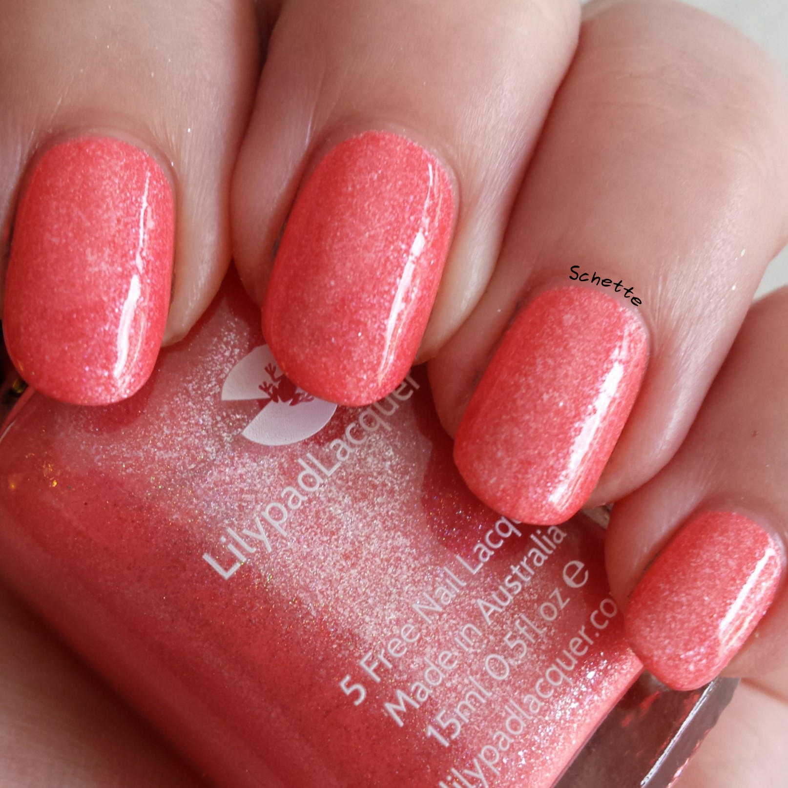 Lilypad Lacquer : Mango Buzz, Berry Blast, Bubblegum fizz, Tarty tangerine 