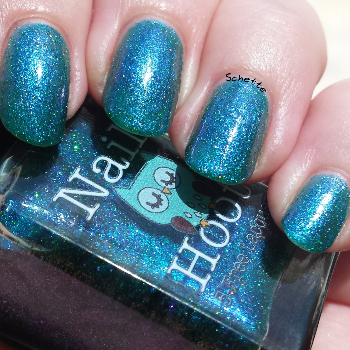 Nail Hoot : Genesis