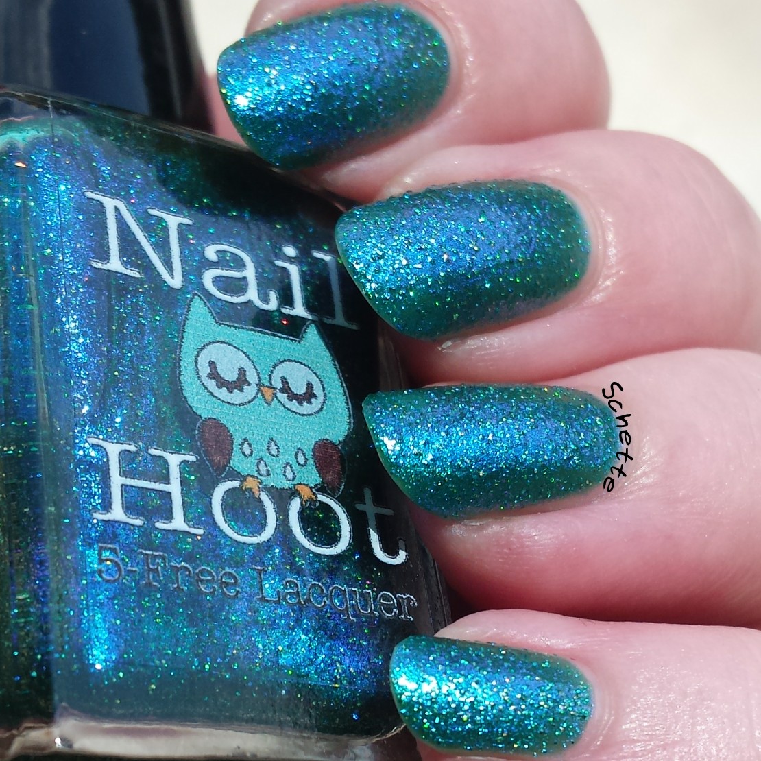 Nail Hoot : Genesis