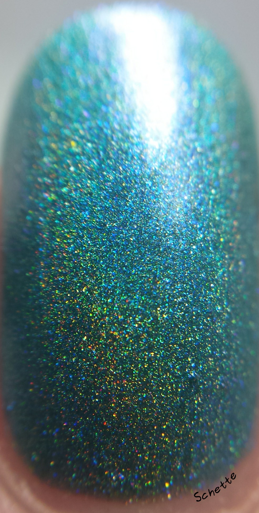 Nail Hoot : Holo'd Trio