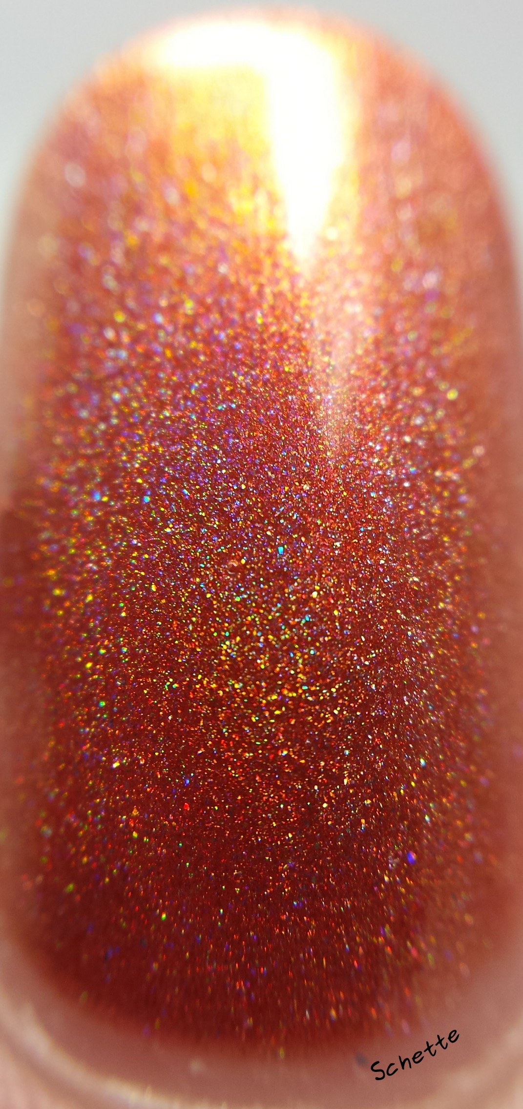 Nail Hoot : Holo'd Trio