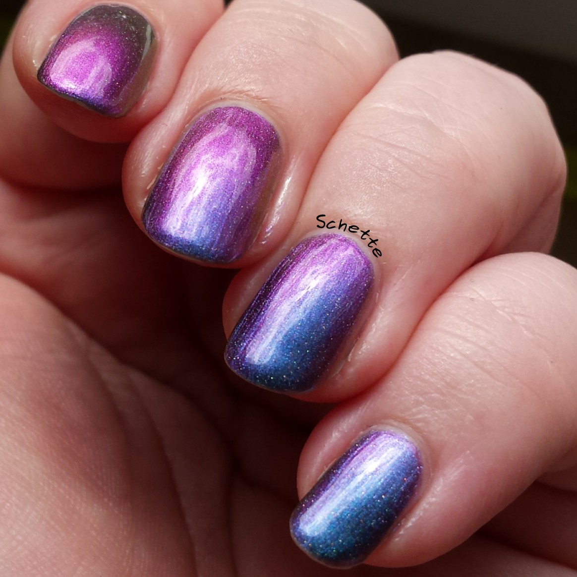 Enchanted Polish : Magical Mystery Tour