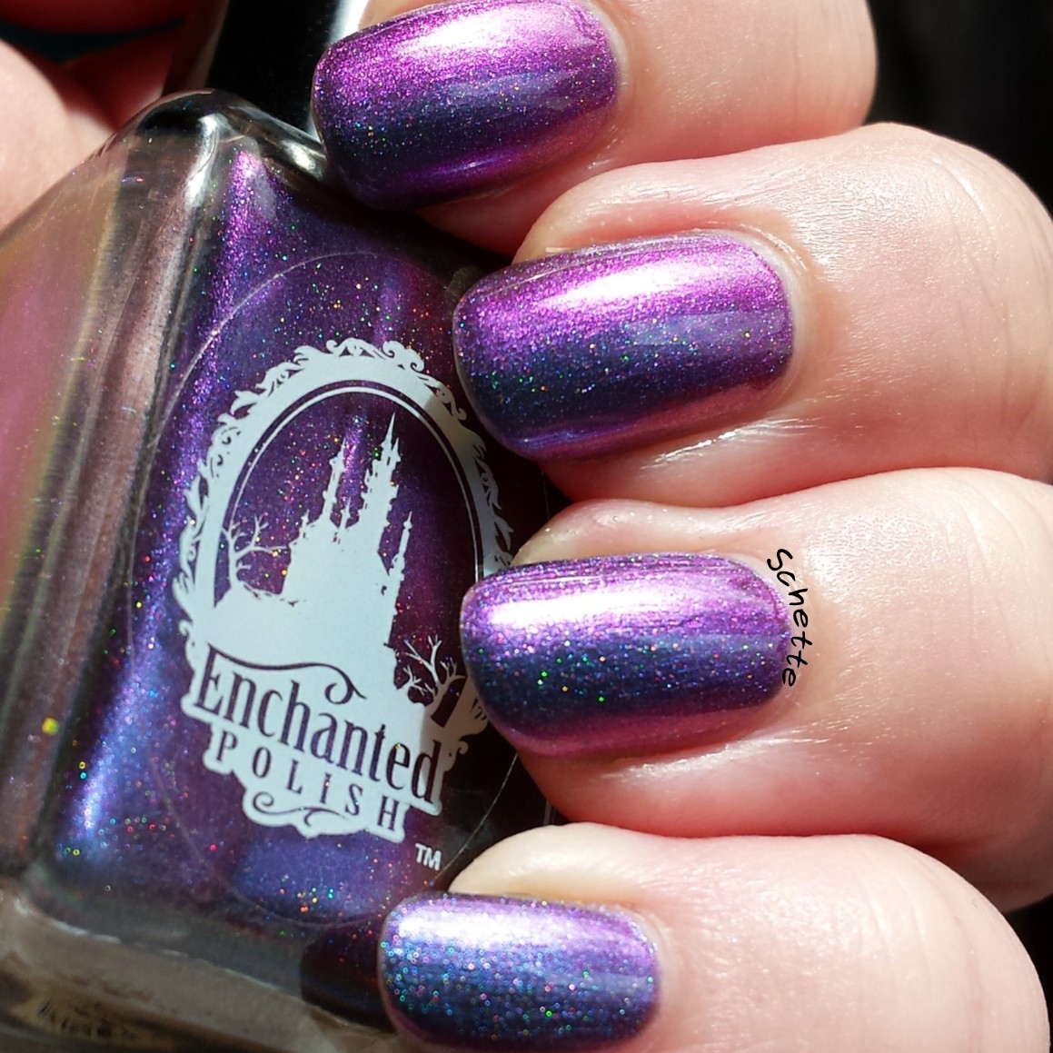 Enchanted Polish : Magical Mystery Tour