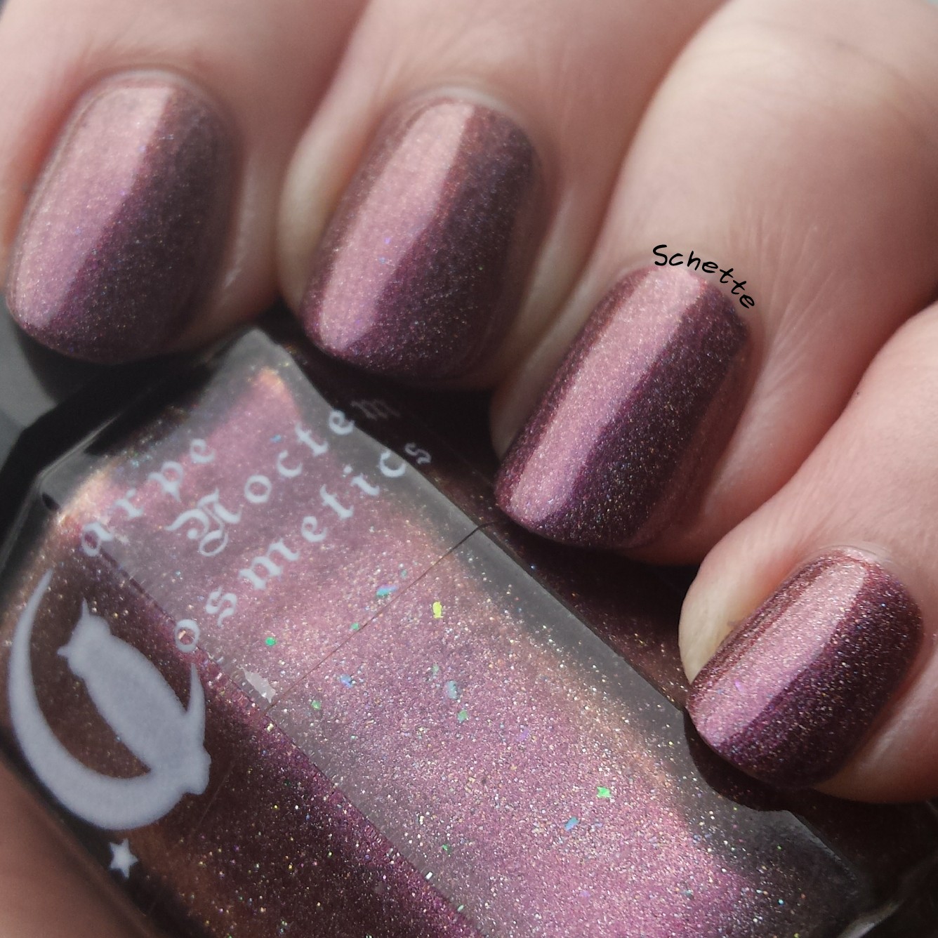 Carpe Noctem Cosmetics : Fireside songs