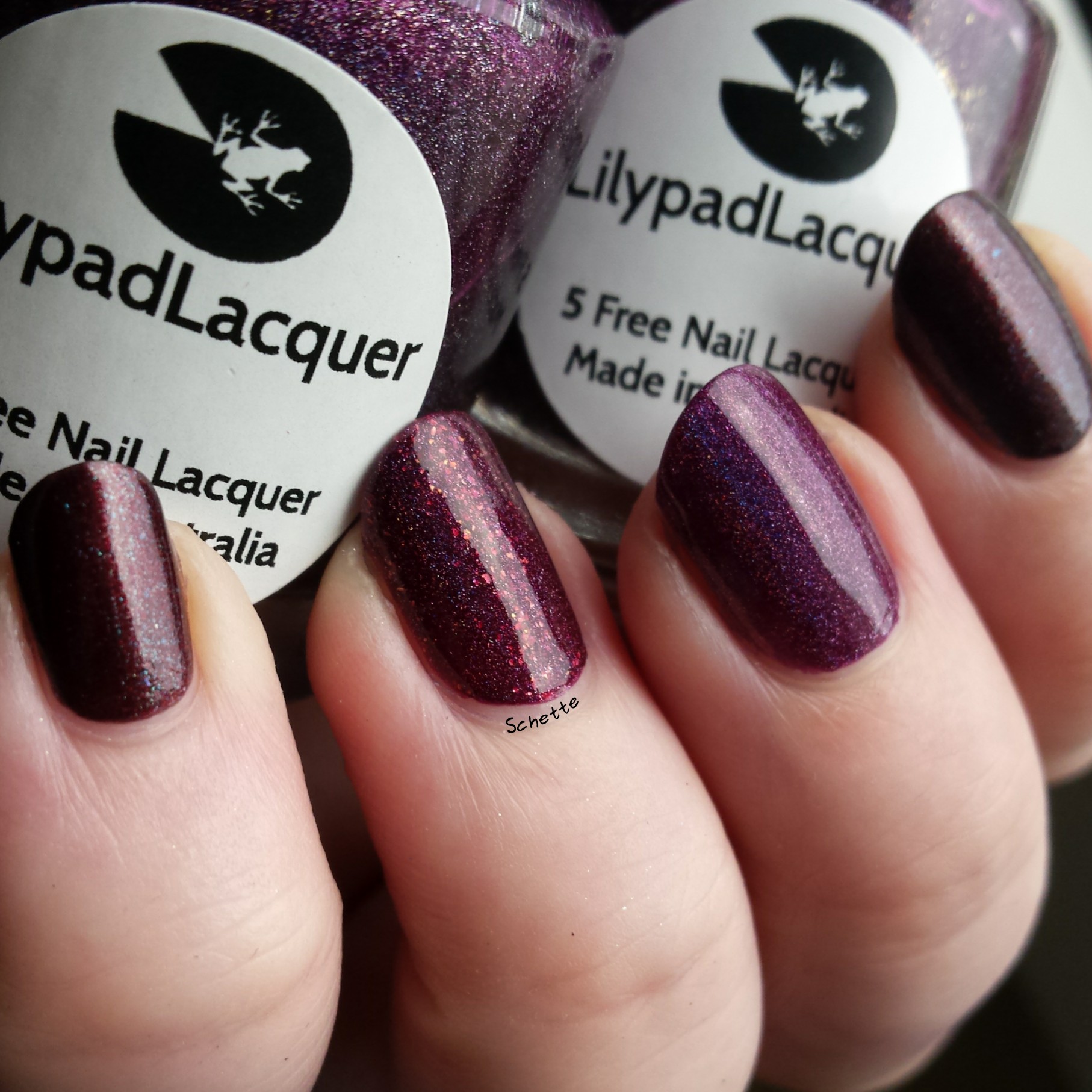 Lilypad Lacquer : Comparison Blood Bank, True Blood, Life on the dark side