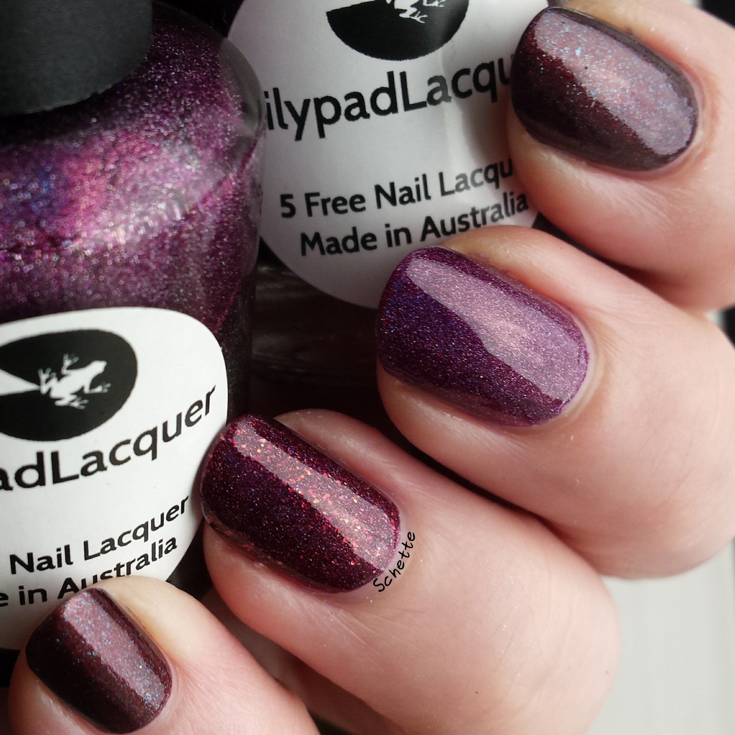 Lilypad Lacquer : Comparison Blood Bank, True Blood, Life on the dark side