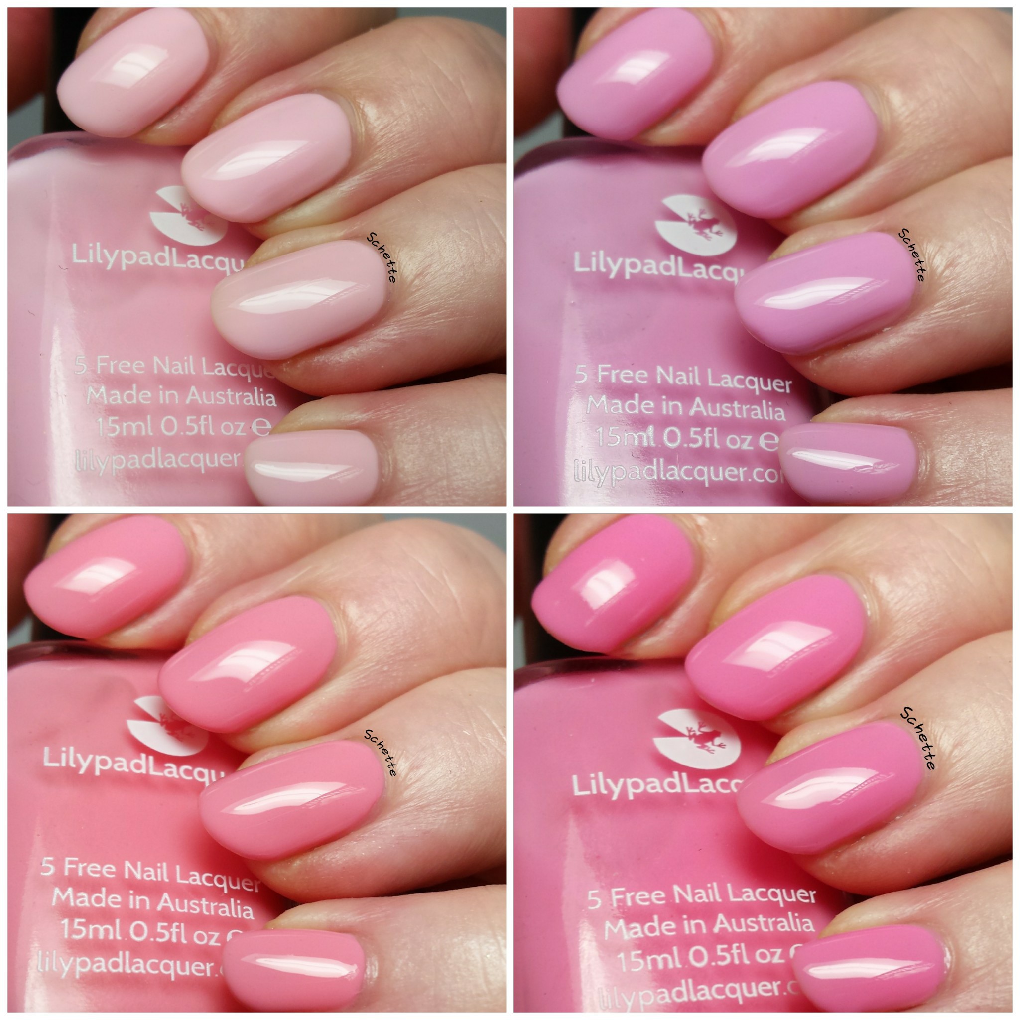 Lilypad Lacquer : The blush collection