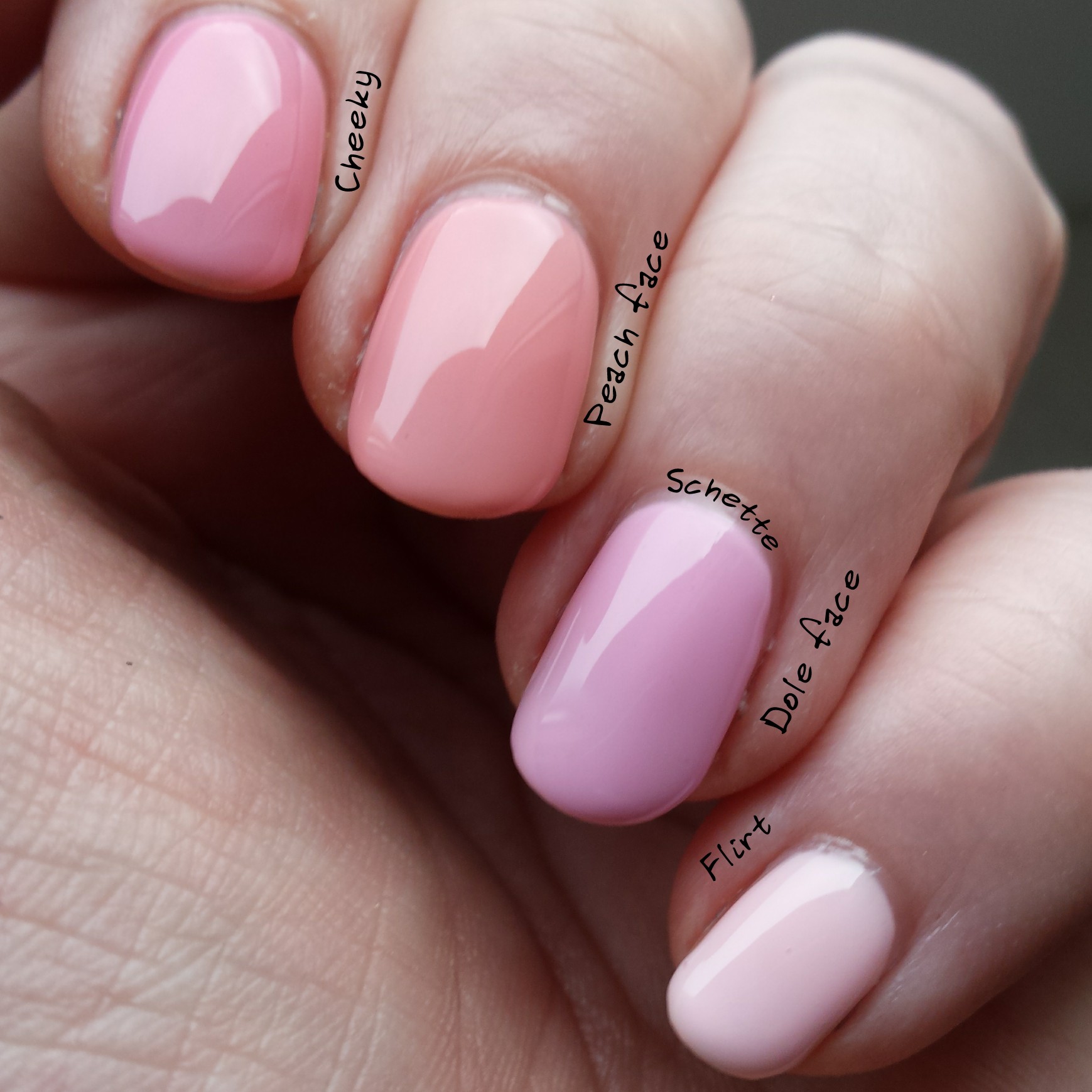 Lilypad Lacquer : The blush collection