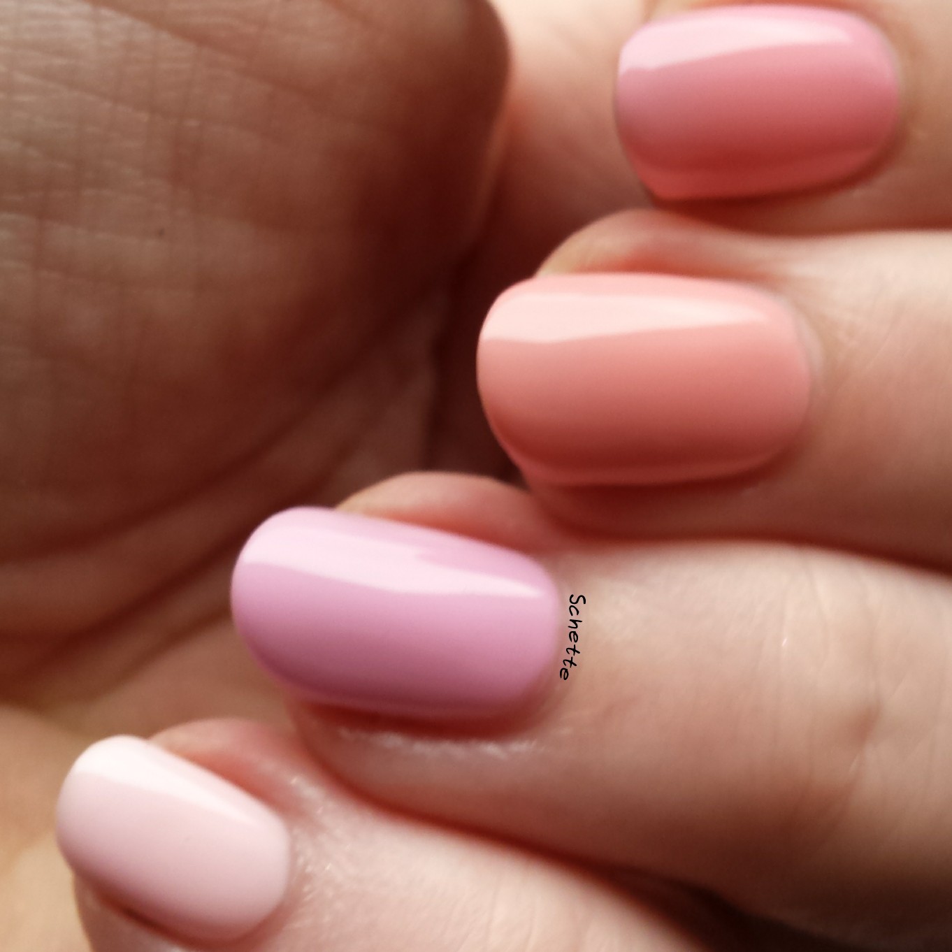 Lilypad Lacquer : The blush collection