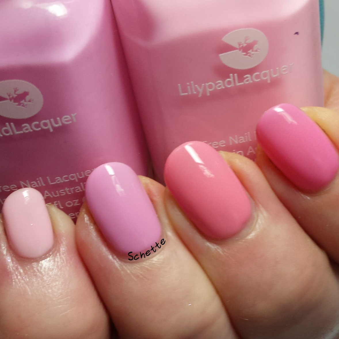 Lilypad Lacquer : The blush collection