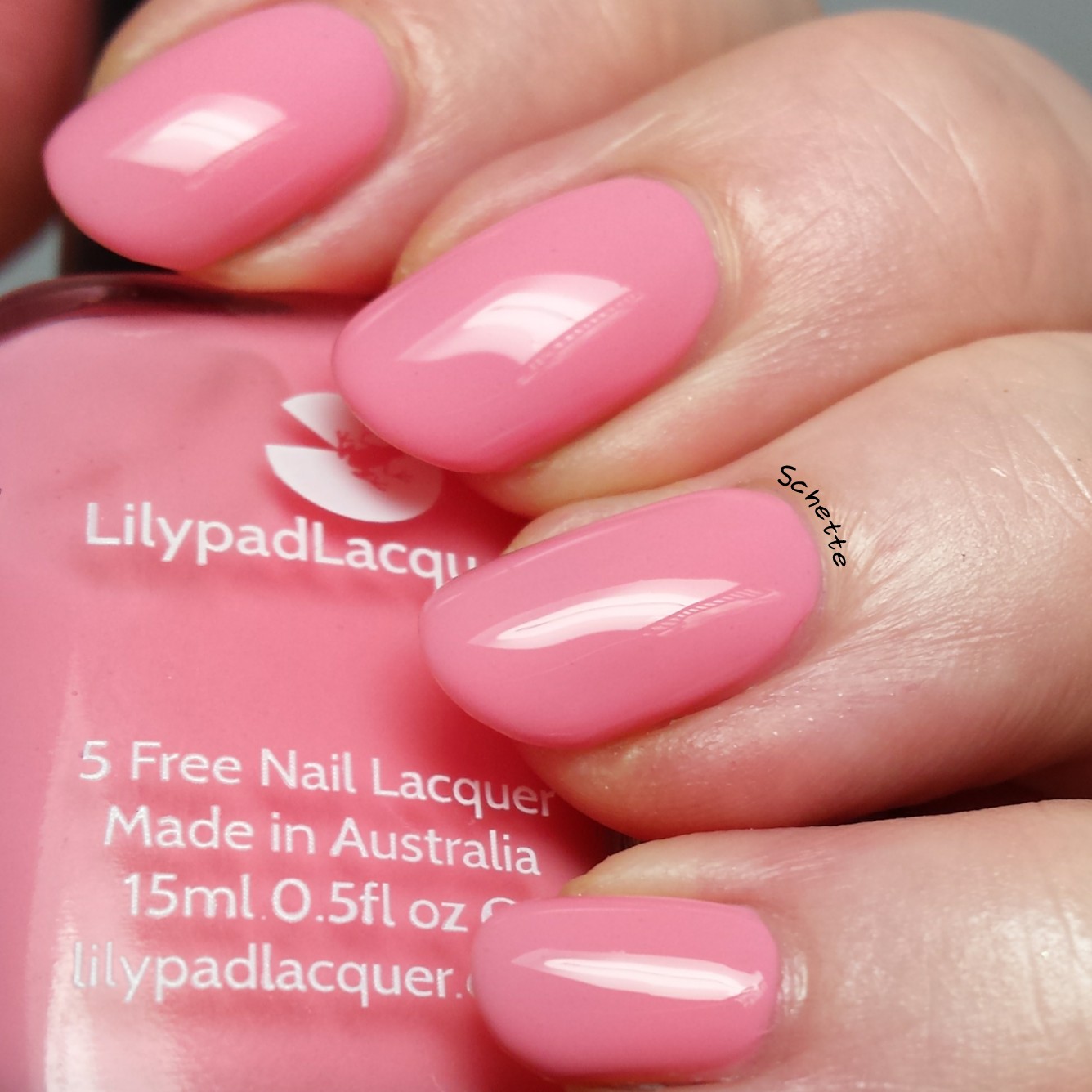 Lilypad Lacquer : The blush collection