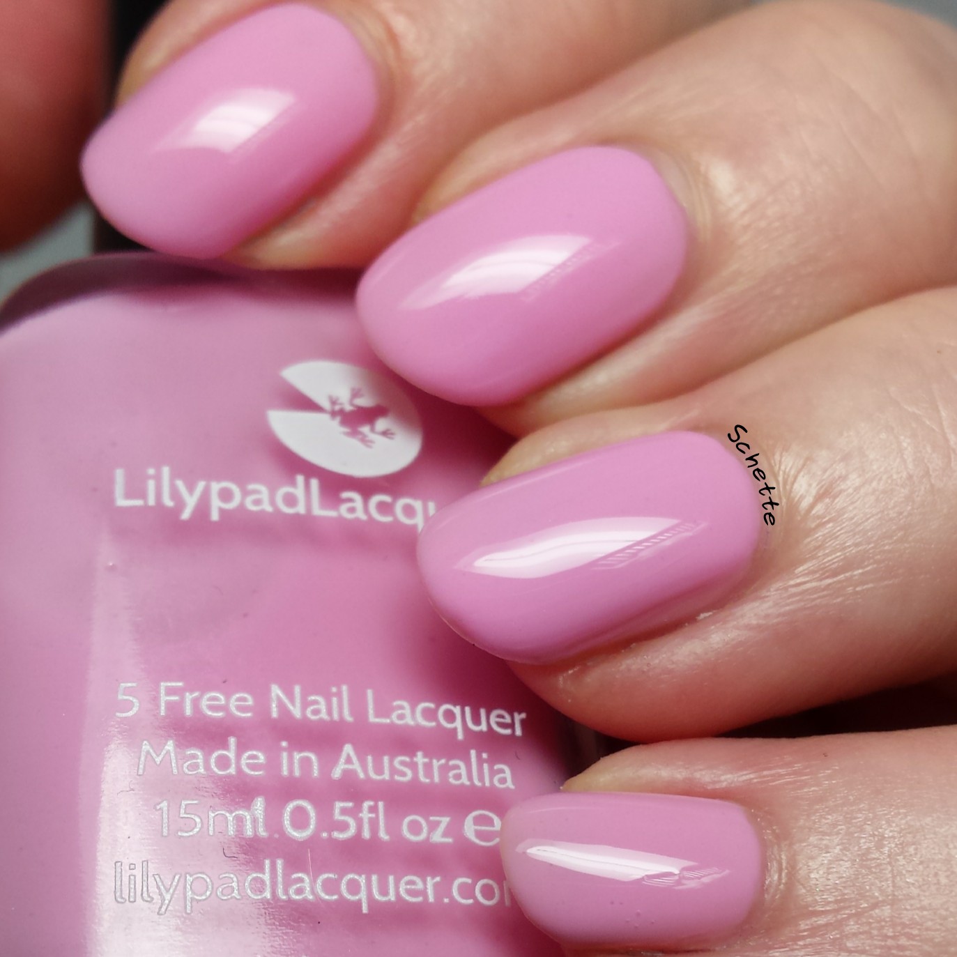 Lilypad Lacquer : The blush collection