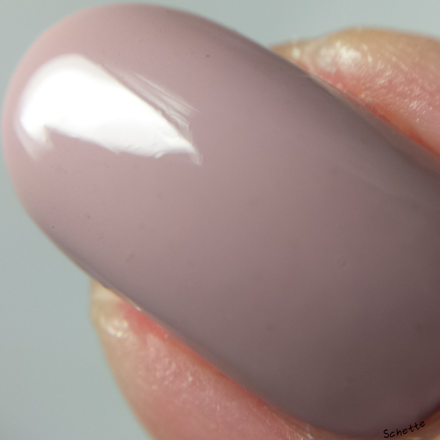 Lilypad Lacquer : The Nude and Neutral Collection Part 1