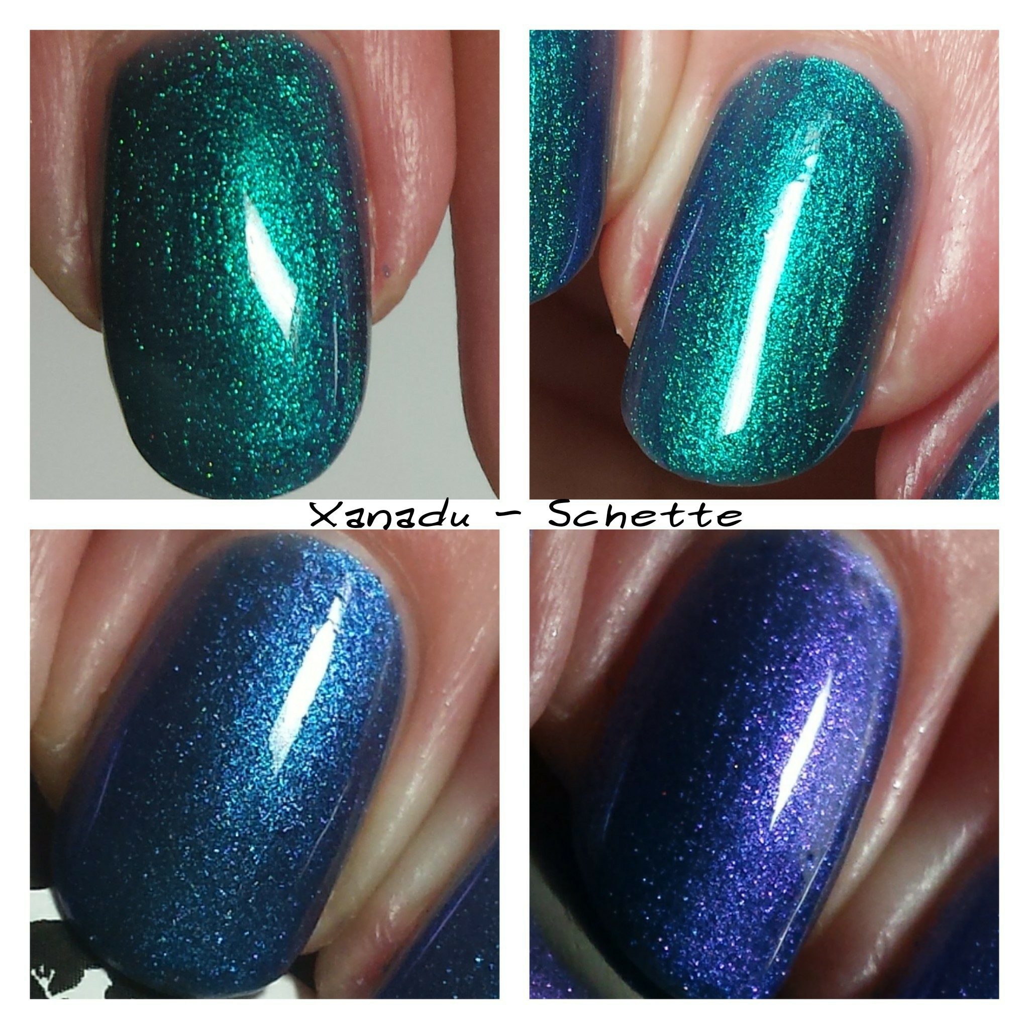 Lilypad Lacquer : Xanadu